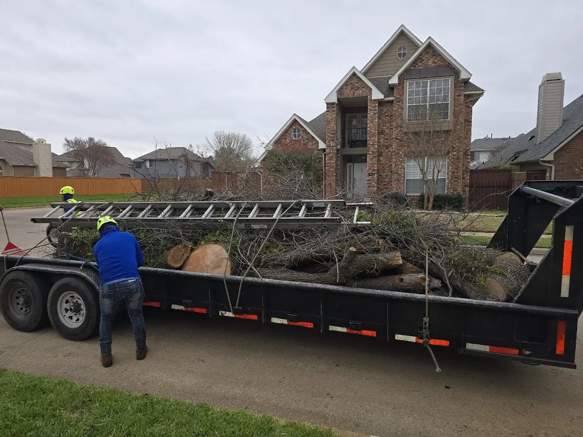 Expert Tree Removal with proper safety equipment in Hampton